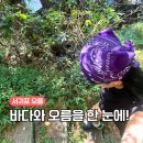 제지기오름 | 제주 서귀포 오름 추천 오르기 쉬운 제지기오름