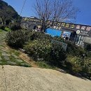 해금강낙원 | 거제도 낭만 산책 외도 여행 해금강유람선 후기: 예약부터 설렘 가득 팁까지!