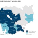 비젼부화장 이미지