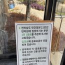 소나무카페(소나무관광농원) | 구례카페 [반야원 플라타너스] 구례대형카페 정원카페 후기