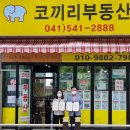코끼리 공인중개사사무소 이미지