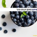 최강푸드 네이버블로그