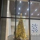 아티제 서울스퀘어점 | 🍰 아티제 잠실점 조각케이크 후기｜아이들과 함께한 크리스마스 디저트 타임