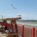 황금바다펜션 이미지