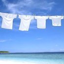 빨래모아 이미지