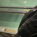 1호선 가산디지털단지역 | [서울/가산] 가산디지털단지역 오징어 보쌈과 얼큰 해물탕 맛집 회식장소 추천! 오적회관 가산점 후기