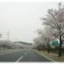 예산-08 이미지