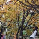 수색한숲도서관 이미지