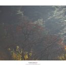 난설헌로 이미지