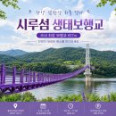 단양 가볼만한곳 시루섬 생태탐방교 후기, 이끼터널까지 함께