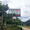 코레일유통(주) 남춘천맞이방편의점 | 춘천 닭갈비 맛집 자연속으로 시원칼칼한 물닭갈비