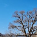 청송1리 마을회관(??) 이미지