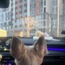 소미몬트 | 1월의 강릉 1박2일 (태교여행 with 아리쭈리)