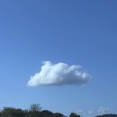 푸른봄약국 이미지