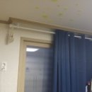 대항병원.연세사랑병원 이미지