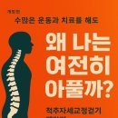 척추자세교정 걷기테라피 이미지