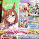 미스터신댄스학원 루리웹 뉴스보드