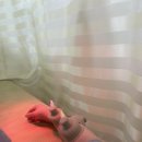 김성균한의원 이미지