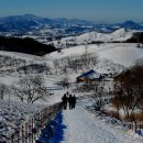 대관령목장 이미지