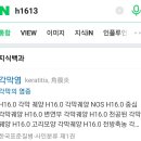 H1613 이미지