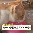 승환농장 네이버블로그