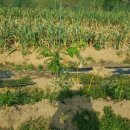 별샘농장 이미지