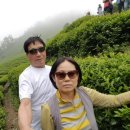 등대 펜션 이미지