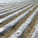 고정농장 이미지