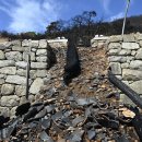 의성 만장사 산불피해 현황 이미지