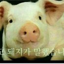 바다한상 이미지