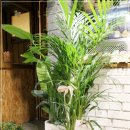 이레카써비스 이미지