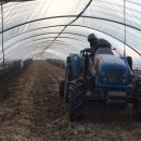 일등미생물 비료 이미지