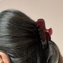 무드제니 | [Smoothmood]스무드무드 제니 헤어 집게핀 사용 후기