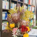 하경미 행정사사무소 이미지