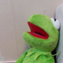 국토종주자전거길1-30 이미지