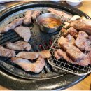 참착한고기 이미지