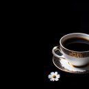 트롯댄스 이미지