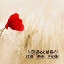 (주)코리아세븐 구리주공2단지점 | 말라뮤트와 허스키의 차이