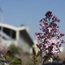 원인재역 이미지