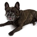 마음의 산책3 이미지