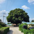 박대 마을회관 이미지