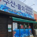 상주시보건소 | 🎣 상주낙양동맛집 백원회수산 – 아기띠 하고 다녀온 신선한 회 &amp; 물회 대만족 후기!