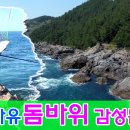 차유 이미지
