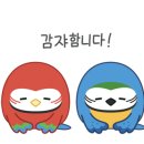 일광 명문유도관 이미지