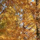 담양군금성면덕성보건진료소 이미지