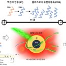 POC메디칼 이미지