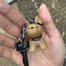 A8 | [문경] 대구 근교 우니메이카 문경 캠핑장 사이트 A8 후기