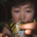 먹고가세요