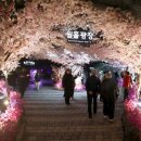 광명동굴 이미지