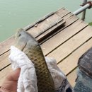 도채낚시터 이미지